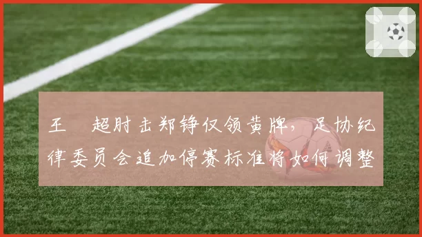 王燊超肘击郑铮仅领黄牌，足协纪律委员会追加停赛标准将如何调整？
