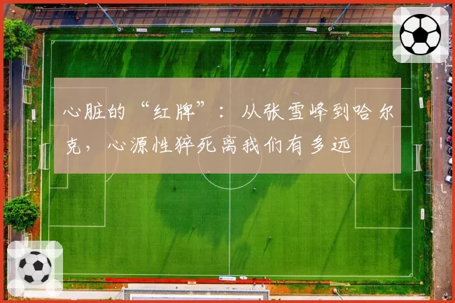 心脏的“红牌”:从张雪峰到哈尔克,心源性猝死离我们有多远