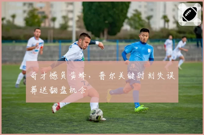 奇才憾负黄蜂,普尔关键时刻失误葬送翻盘机会